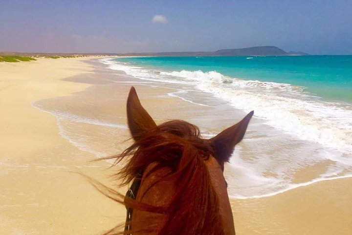 Horse Riding in Sal Island - Cabo Verde