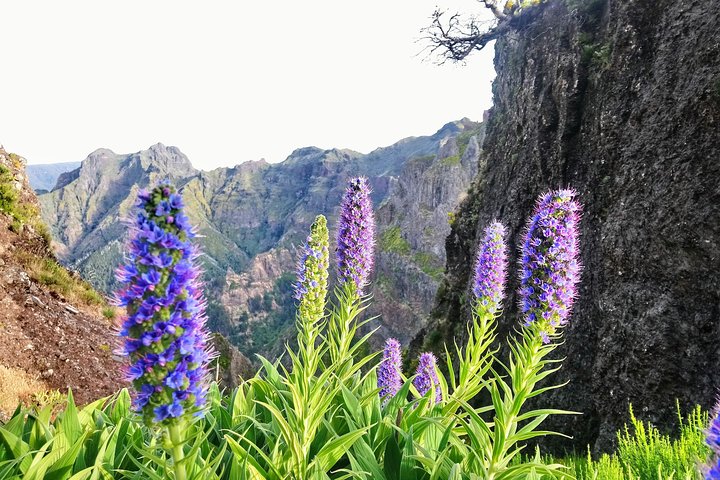 Sunrise Guided Hike PR1 Pico do Areeiro Pico Ruivo small group