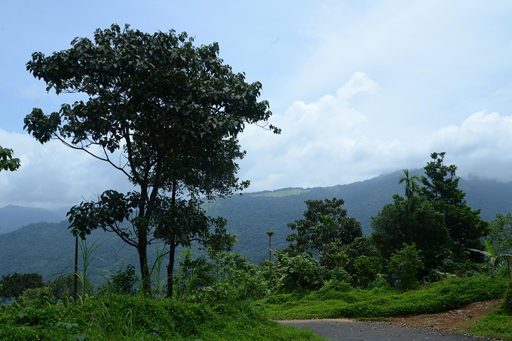 Village Life experience in Kannur & Kasaragod districts of Kerala