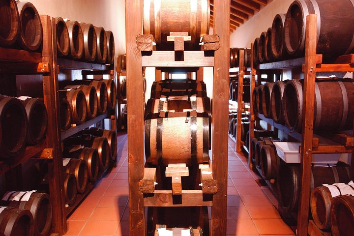 Parmigiano Reggiano & Aceto Balsamico tour with lunch