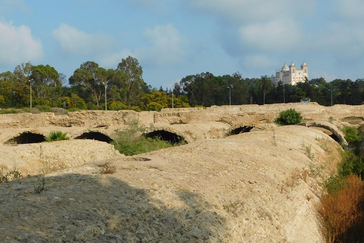 Guided Bike Tour of Carthage Archeological Site in Tunisia