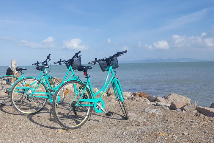 Guided Bike Tour of Carthage Archeological Site in Tunisia