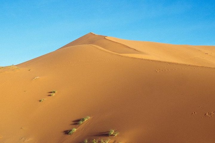 Luxury Camp in Merzouga Desert with Camel Trekking, Vehicule 4WD