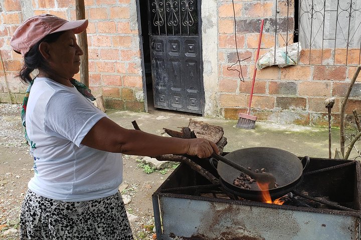 Cuenca to Guayaquil one-way tour with Cajas Park and a Cacao Farm visit