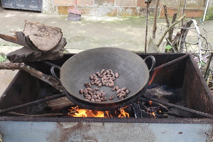 Cuenca to Guayaquil one-way tour with Cajas Park and a Cacao Farm visit