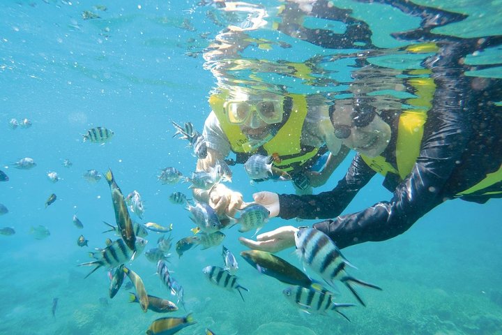 Perhentian Island Snorkeling Day Trip from Kuala Besut Jetty