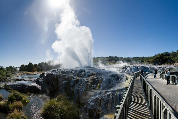 Private Rotorua Tour from Tauranga (Max 11)