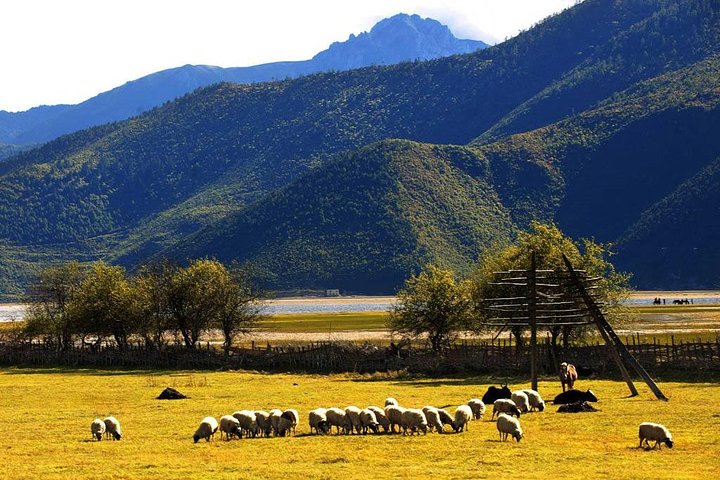 Private Day Trip of Shangri-La with Tibetan family visit
