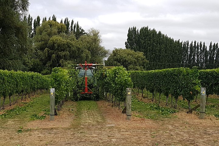Discover Marlborough Wine - Afternoon Marlborough Wine Tour