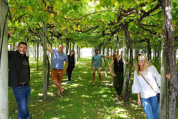 Discover Marlborough Wine - Afternoon Marlborough Wine Tour