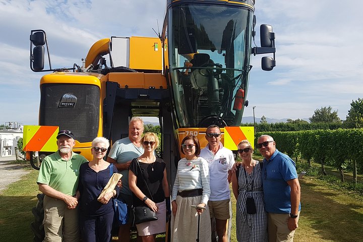 Beyond the Vines - Full-Day Marlborough Wine Tasting Tour