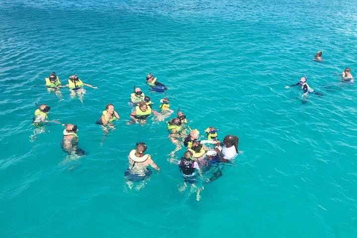 Barbados Turtle and Shipwreck Snorkel Adventure