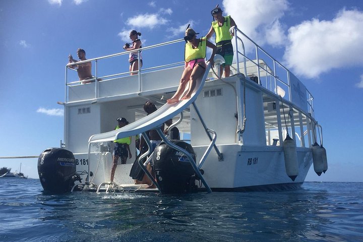 Barbados Turtle and Shipwreck Snorkel Adventure