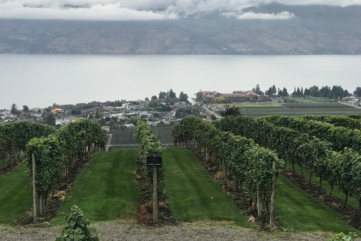 Full Day 4 Wineries Mission Hill & Quails Gate With Lunch Stop*