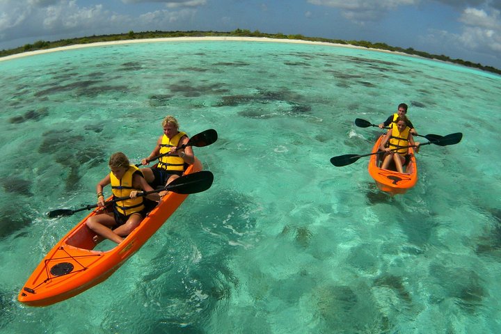 Clearbottom Mangrove Kayak & Snorkel tour