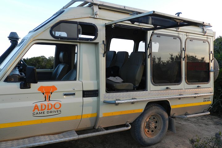 Port Elizabeth Shore Excursion: Addo Elephant Full Day Safari &"Braai"Lunch(BBQ)
