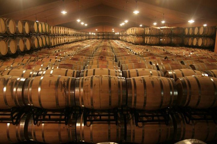 Douro Valley Tour: Wine Tasting, Cruise and Lunch from Porto