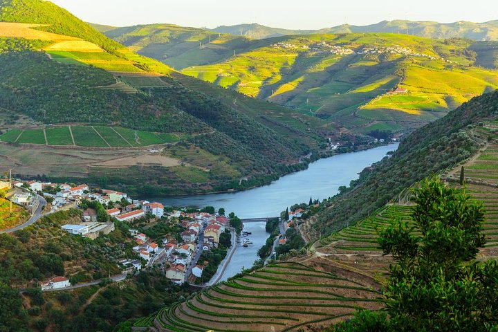 Douro Valley Tour: Wine Tasting, Cruise and Lunch from Porto