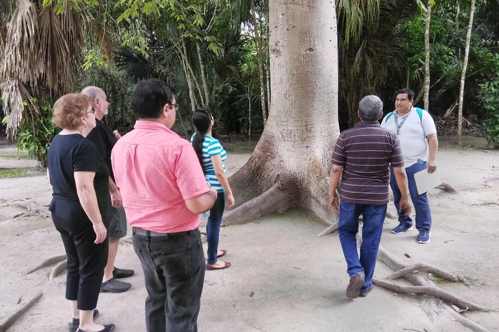 Costa Maya Shore Excursion Chacchoben Day Trip
