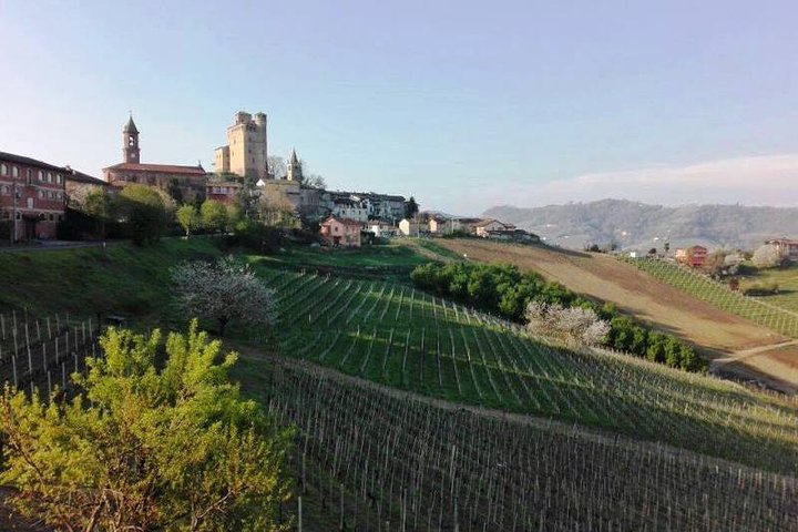 Piedmont Winery Tour: Taste Barolo, Barbaresco & Traditional Food