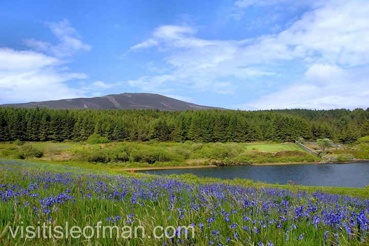 Half day private tours of the Isle of Man with a qualified Driver Guide