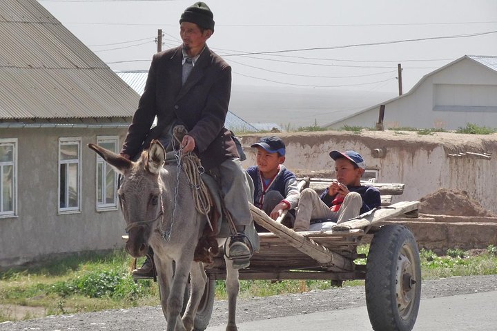 8 Days Trekking in Kyrgyzstan: Alay Mountains Adventure
