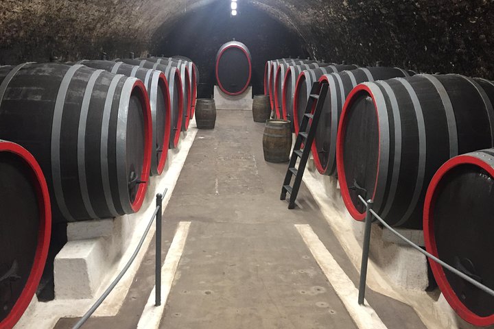Private Bohemia Wine Tour from Prague with Gourmet Tastings