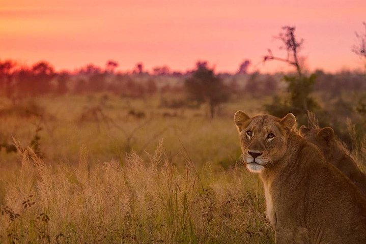5 day-Kruger National Park Safari from Kruger Int. Airport (KMI), Panorama Route