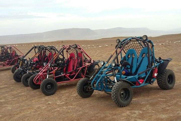 Buggy ride in Paracas National Reserve