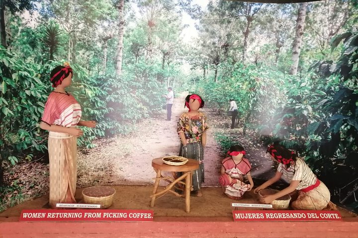 Antigua ATV Coffee Tour
