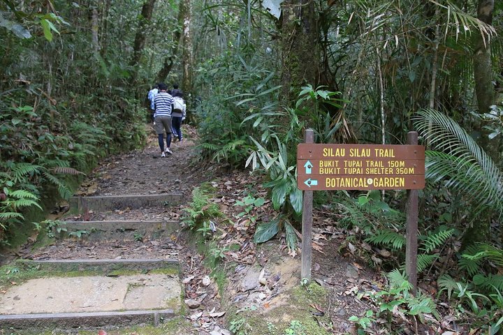 Kinabalu Park & Poring Hot Springs Tour with Desa Dairy Farm