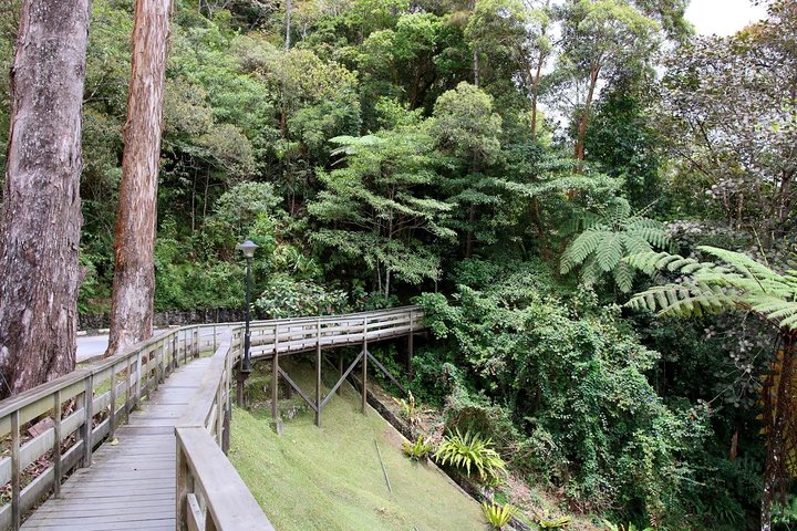 Kinabalu Park & Poring Hot Springs Tour with Desa Dairy Farm