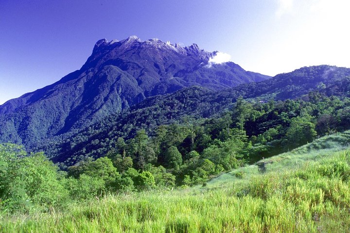 Kinabalu Park & Poring Hot Springs Tour with Desa Dairy Farm