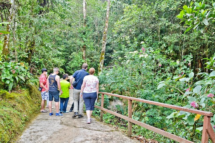 Kinabalu Park & Poring Hot Springs Tour with Desa Dairy Farm
