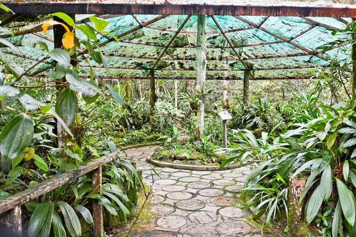 Kinabalu Park & Poring Hot Springs Tour with Desa Dairy Farm