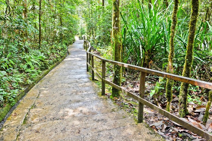 Kinabalu Park & Poring Hot Springs Tour with Desa Dairy Farm