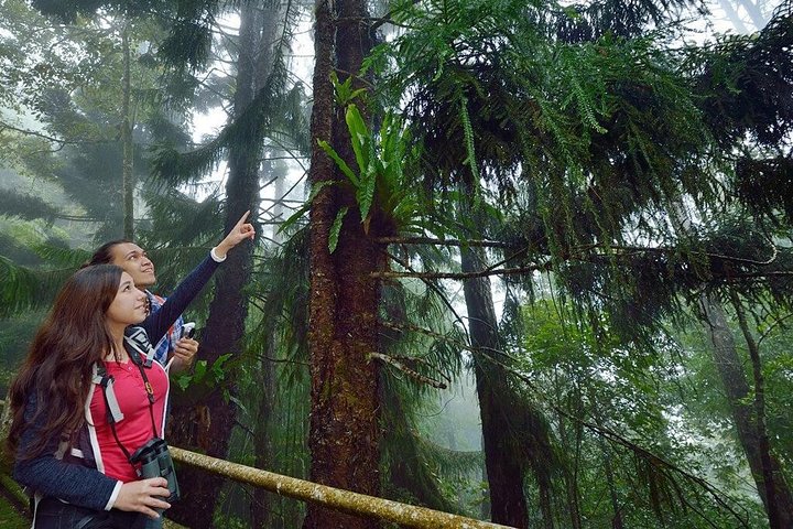 Kinabalu Park & Poring Hot Springs Tour with Desa Dairy Farm