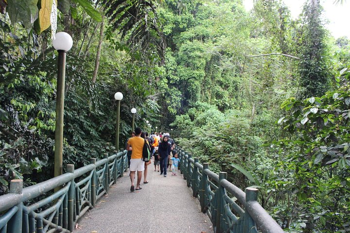 Kinabalu Park & Poring Hot Springs Tour with Desa Dairy Farm