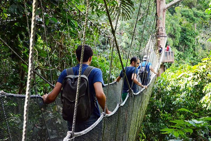 Kinabalu Park & Poring Hot Springs Tour with Desa Dairy Farm