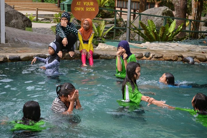 Kinabalu Park & Poring Hot Springs Tour with Desa Dairy Farm
