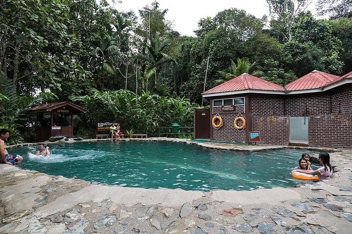Kinabalu Park & Poring Hot Springs Tour with Desa Dairy Farm