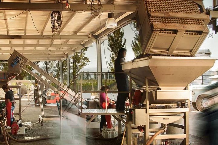 Renacer Winery Experience