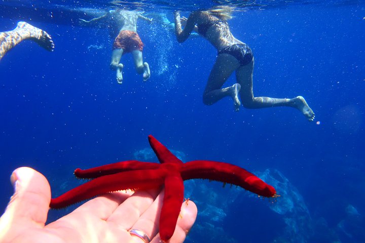 Tropea to Capo Vaticano, the Best Boat Tour. Max 8-12 Passengers