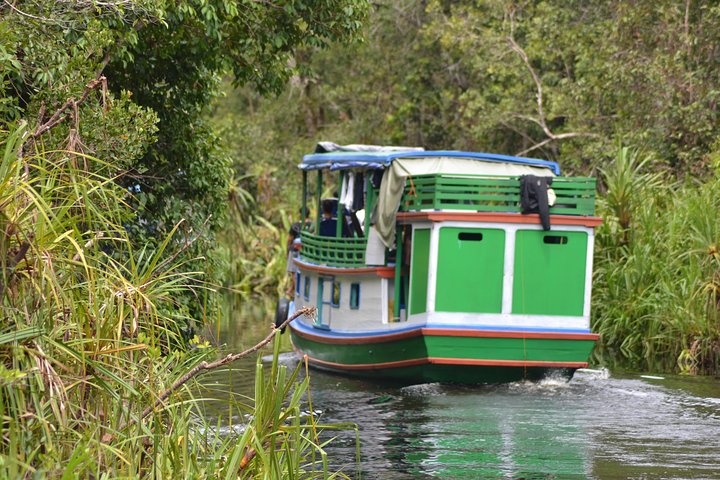 Dayak Lamandau & Orangutan Tanjung Puting Park Tour 6 Days
