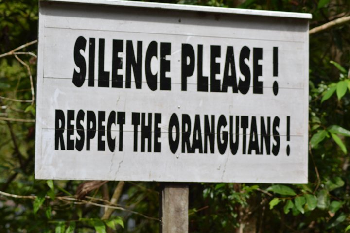 Dayak Lamandau & Orangutan Tanjung Puting Park Tour 6 Days