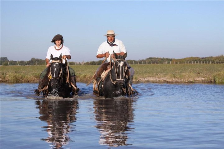 Gaucho Small-Group Full Day at a Farm in Buenos Aires