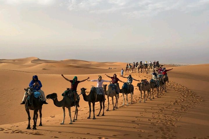 ✅ Camel Ride and Overnight in Sahara Desert Camp