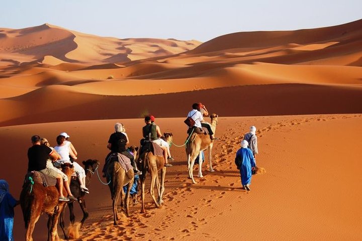 ✅ Camel Ride and Overnight in Sahara Desert Camp