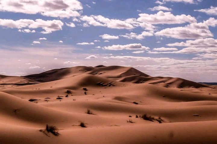 ✅ Camel Ride and Overnight in Sahara Desert Camp