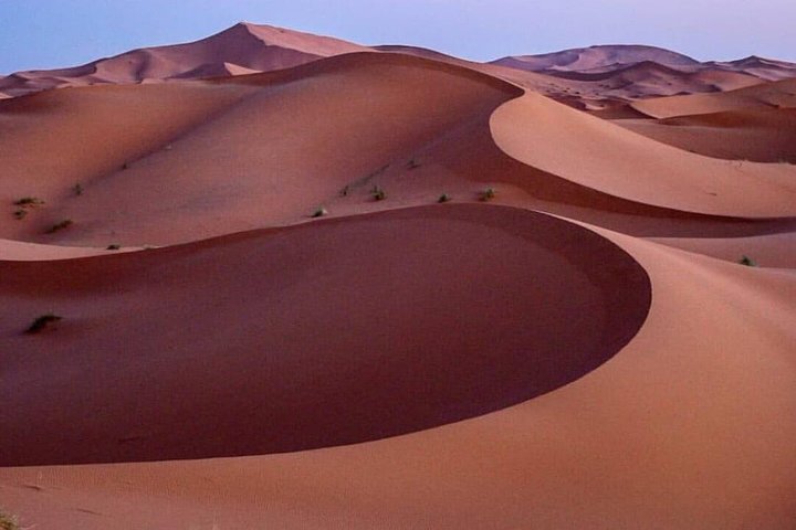 ✅ Camel Ride and Overnight in Sahara Desert Camp